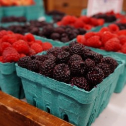 Black red raspberries