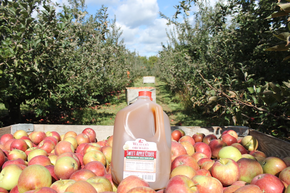 Apple Cider Weavers Orchard