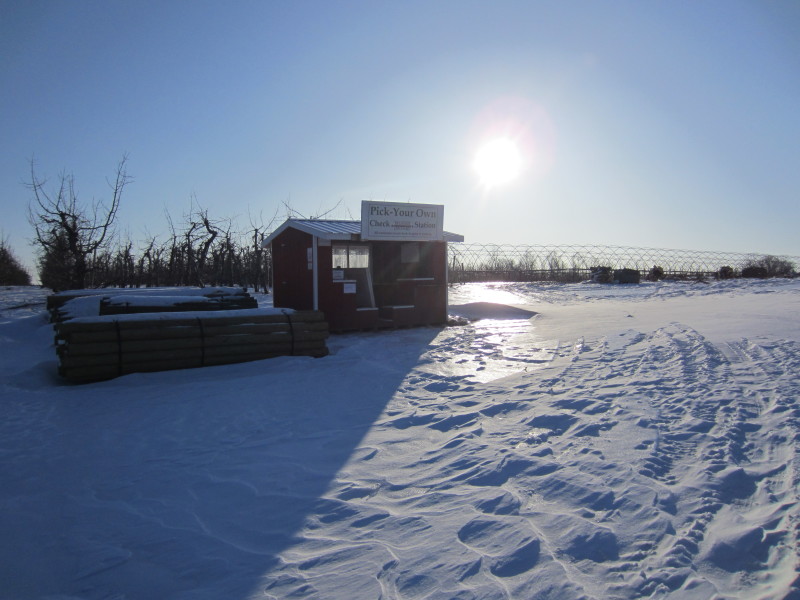 PYO shed waiting for spring!