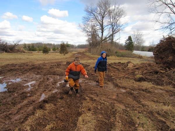 muddy boys