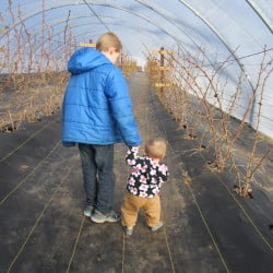 our oldest helping our youngest take some first steps in teh raspberry tunnel