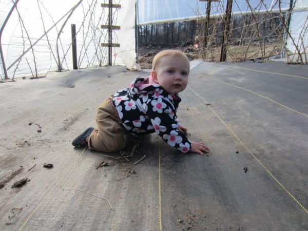 This future farmer loves the warmth of the tunnel on a cool spring day