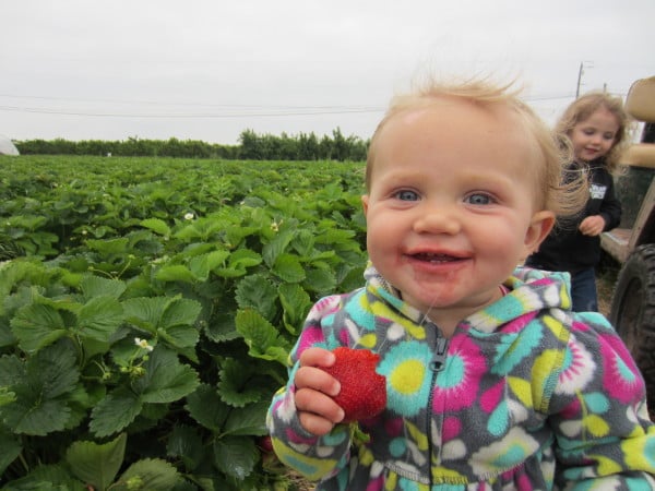 Unlimited strawberries for the baby!