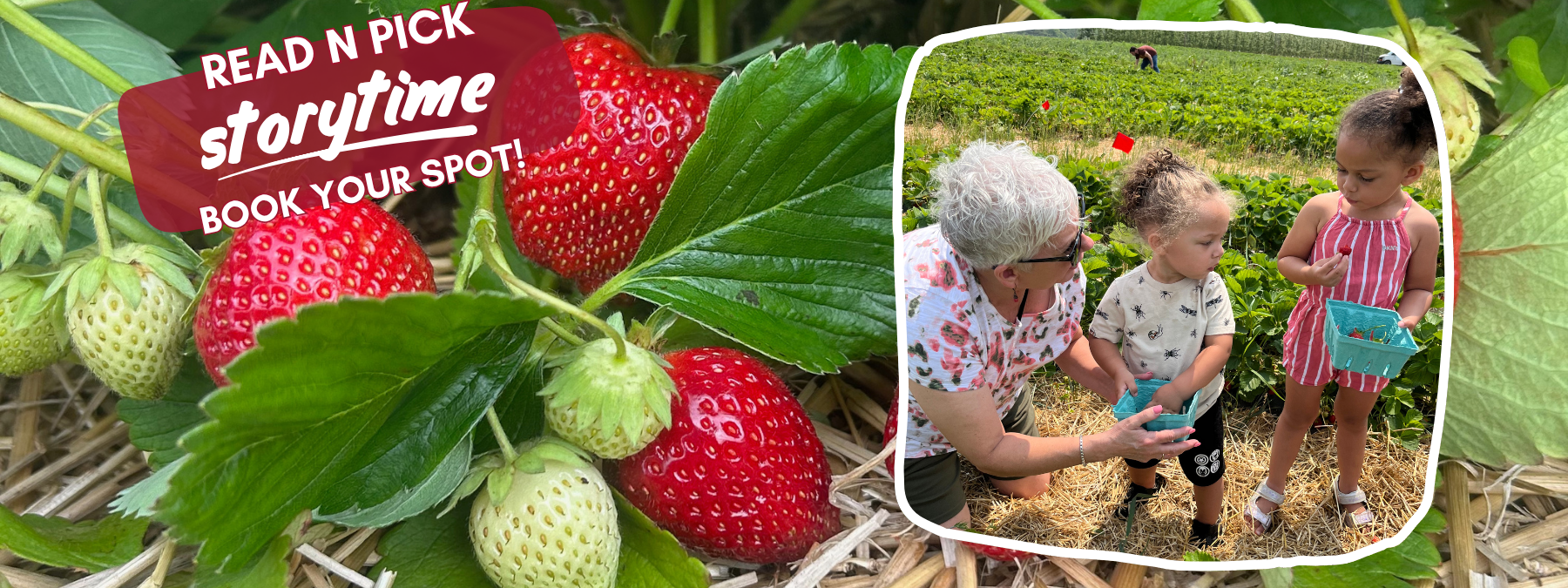 Storytime-Strawberries-June