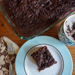 Lessons from the Garden & Chocolate Chip Zucchini Cake Zucchini cake 3