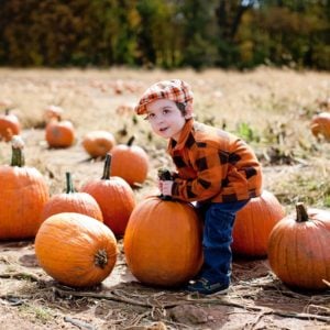 Pumpkins