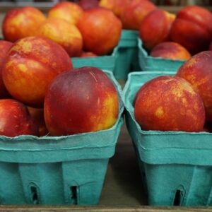 Nectarines