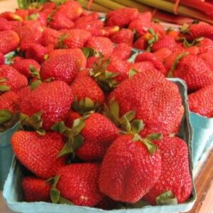 Strawberries
