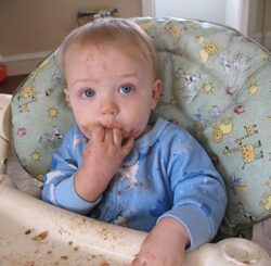 Homegrown Baby: Some tips for making your own baby food at home Baby Food1