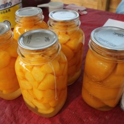 How To Can Peaches And Other Summer Fruit Canning1