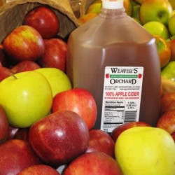 Weaver’s Orchard Apple Cider– A Tasty Holiday Treat! Cider2