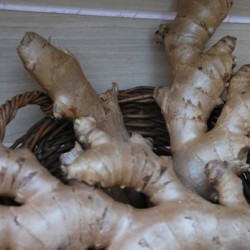 Simple Summer Dinners Ginger