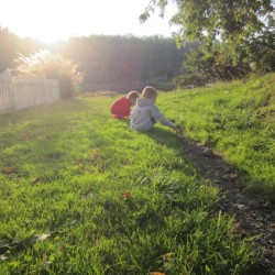 You know you’re growing three kids on an orchard when… You know1