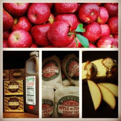 Delicious Apple Recipes for the Holidays apple crisp and kutchen holidays