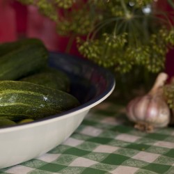 Chubby Pickle Farm: Getting People Growing & Preserving the Harvest 10WeaversOrchardPickles