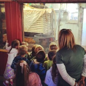 School Tours