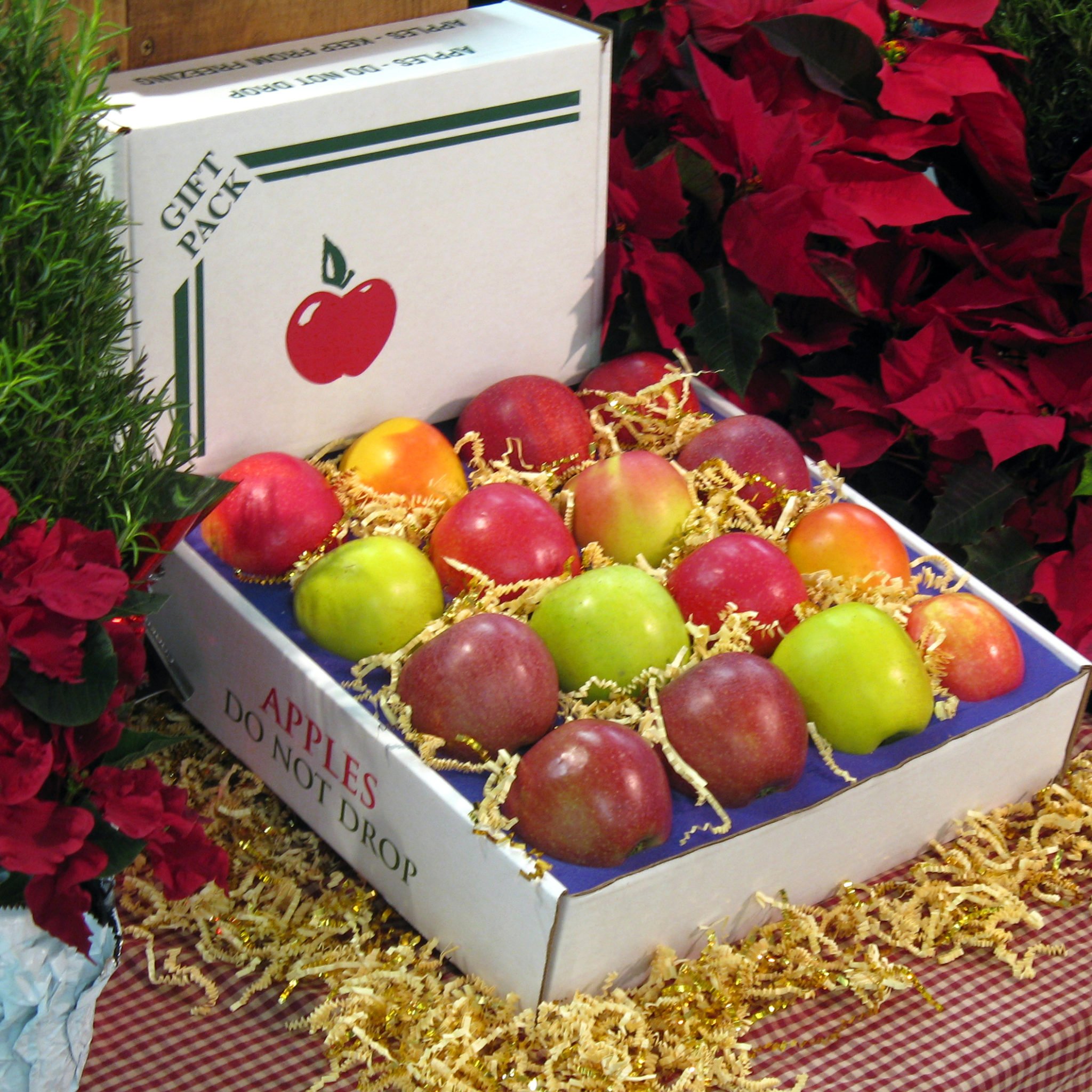 Apple Gift Box 16 Count