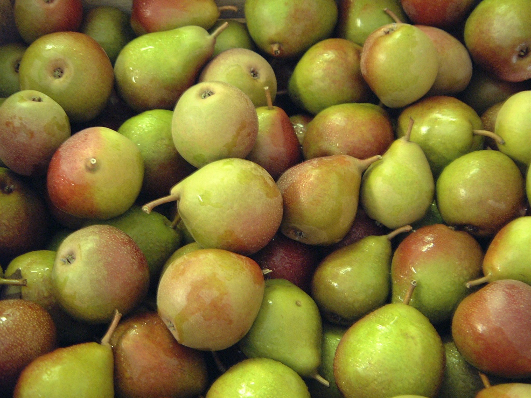 pears in orchard baskets