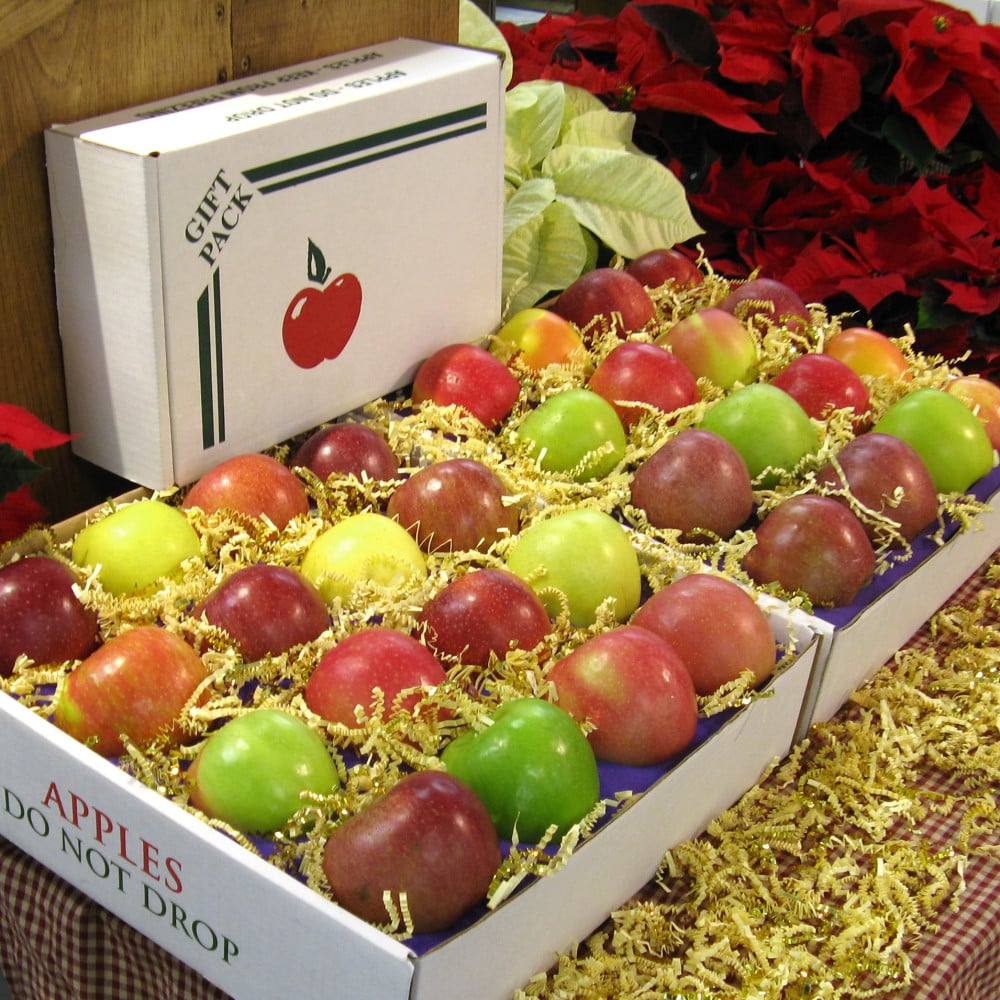 Apple Gift Box - 32 Count - Weavers Orchard