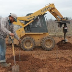 It’s Fruit Tree Planting Time IMG_2240