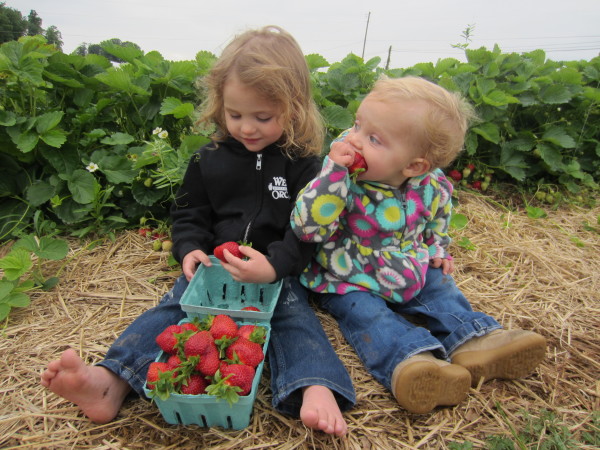 Talia and Kayla with strawberries