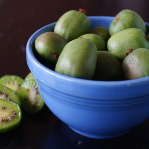 Kiwi Berries