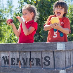 “The Apples Were Almost as Big as Their Heads!”: Our 2015 Photo Contest Winners Share Their Orchard Stories 1st place 2015 photo contest