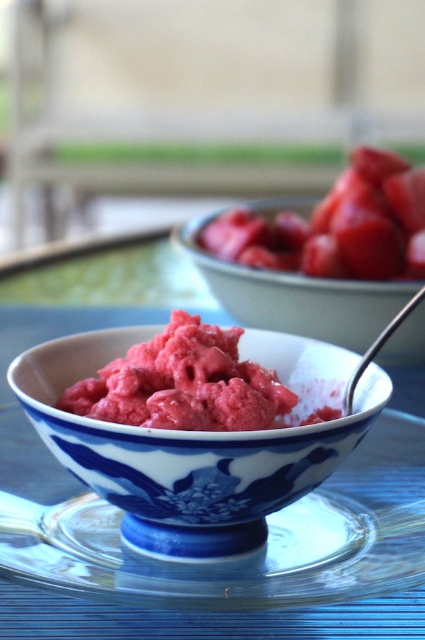 Berry Frozen Yogurt