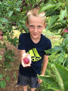 Picking Sugar Plums 2