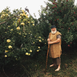 Meet John Henschel, Known to Weaver’s Visitors as Johnny Appleseed Johnny Appleseed