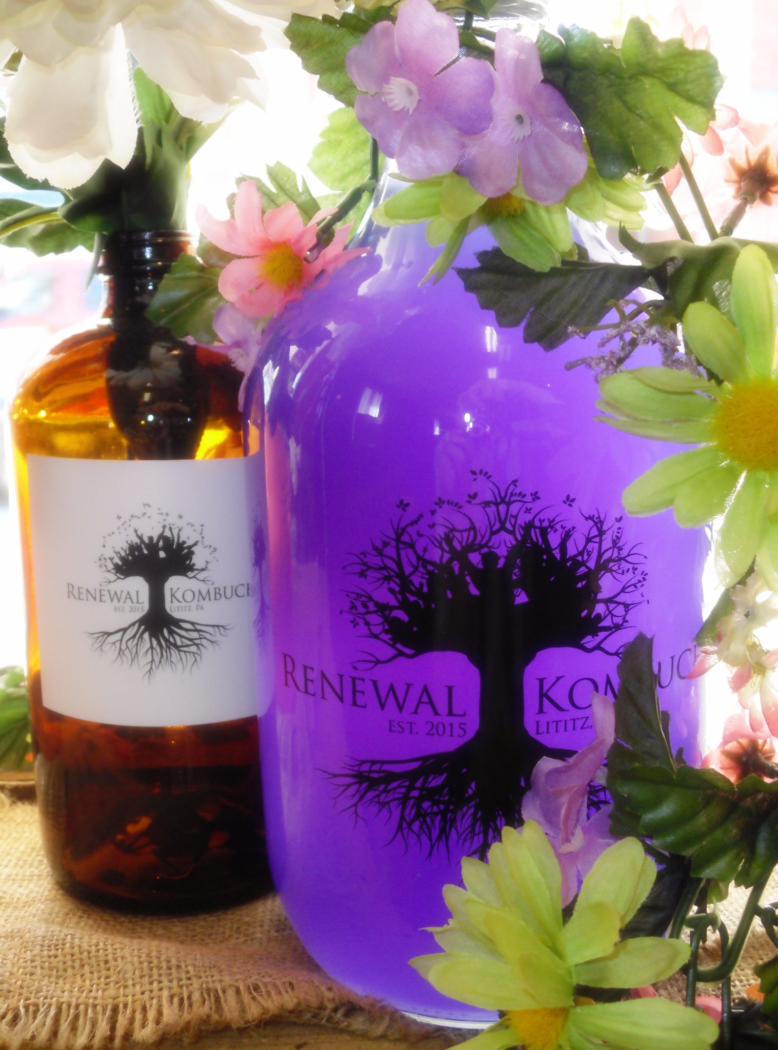 Sip Renewal Kombucha at Weaver's Orchard Weavers Orchard