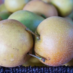 Asian-Pears