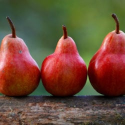 Red-Anjou-Pears