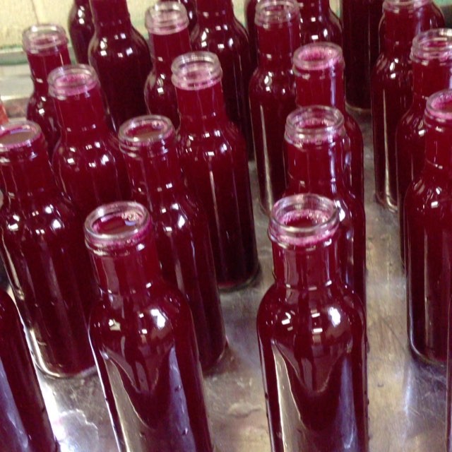 beet kvass