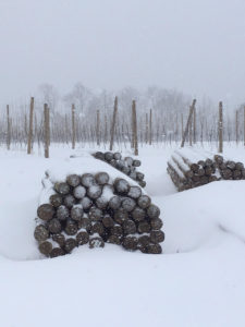 Snow at Weaver's Orchard