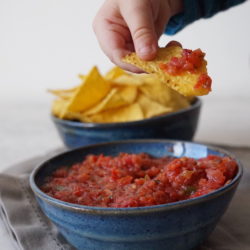 Guacamole & Fresh Salsa as an Afternoon Snack Salsa-1-1000