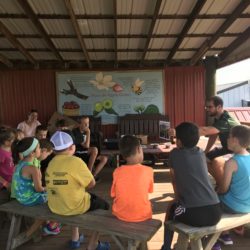 Reflections on Orchard Explorers 2018 – and an Invitation July_2018_2_OE