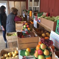 Need Fall Hostess Gift Ideas or Christmas Inspiration? Here’s Edie’s Advice. Fruit Basket Assembly 3