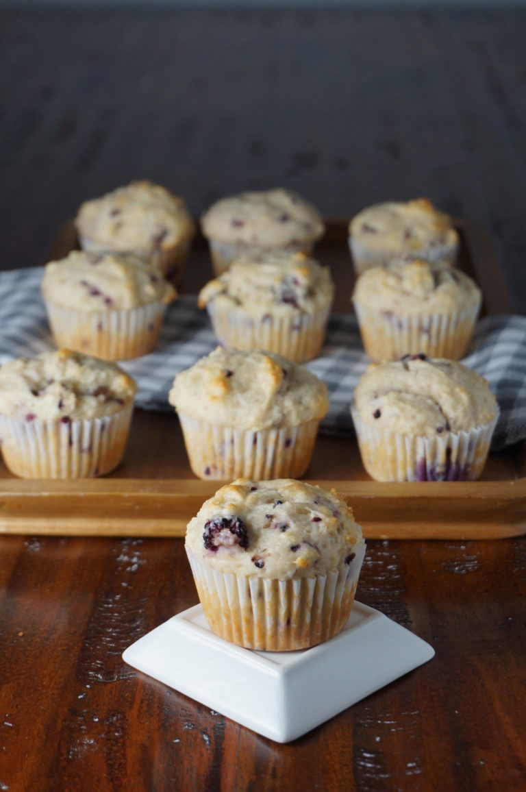 Blackberry Muffins