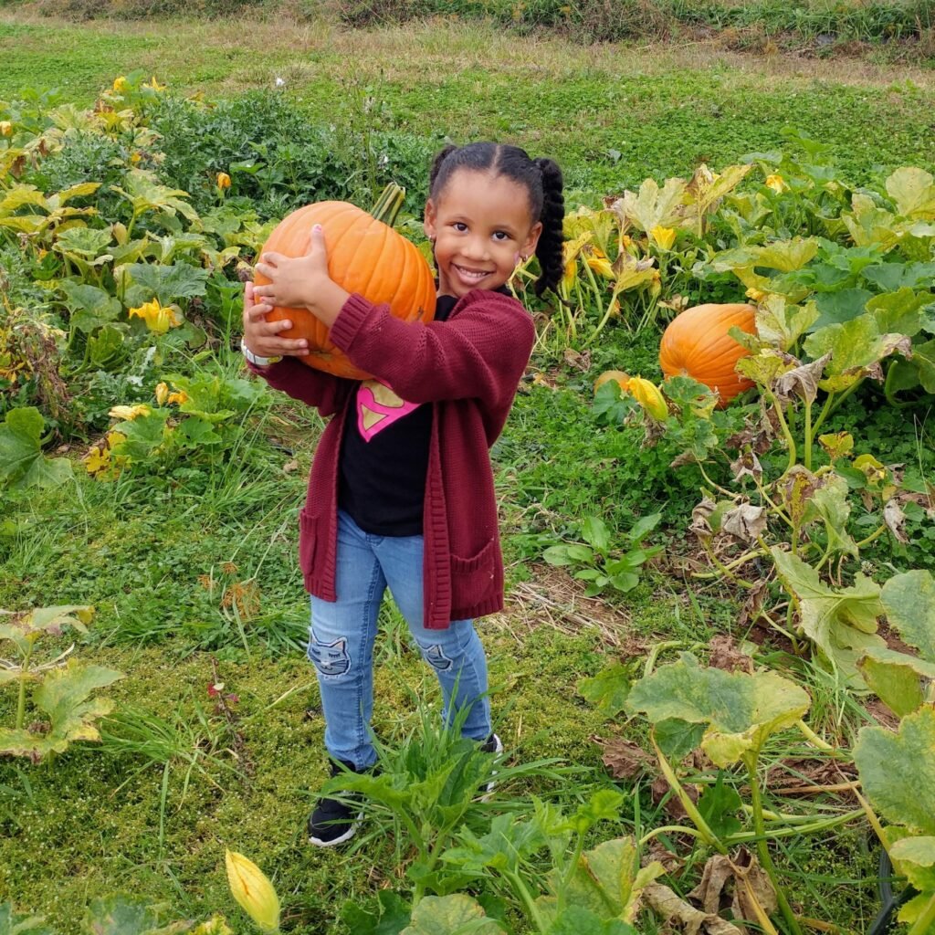 Picking pumpkins at Weaver's Orchard