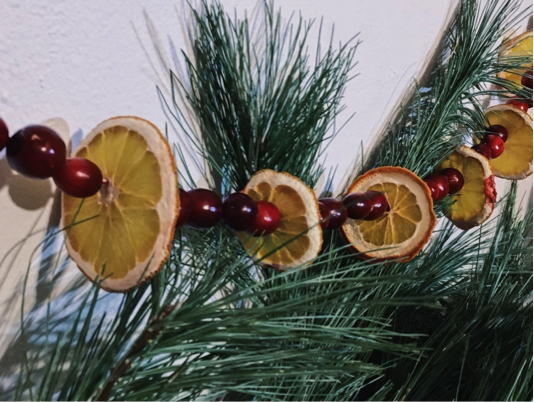 Dried fruit ornaments hanging on garland