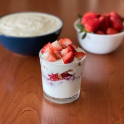 Homemade Yogurt in the InstantPot Homemade yogurt from the InstantPot