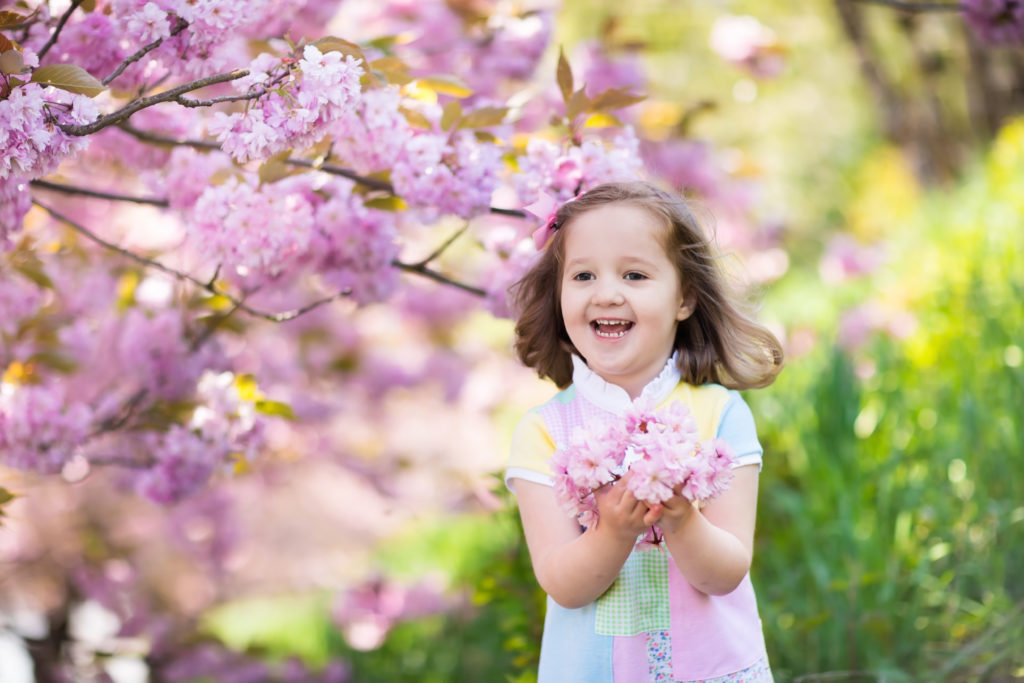 Little girl with cherry blossom