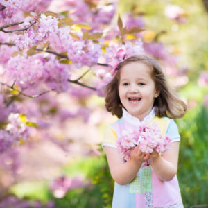 Little girl with cherry blossom