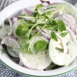 Creamy Cucumber Dill Salad with Pea Shoots cucumberdill(1)