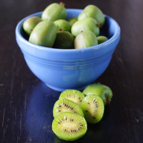 KiwiBerries Weavers Orchard