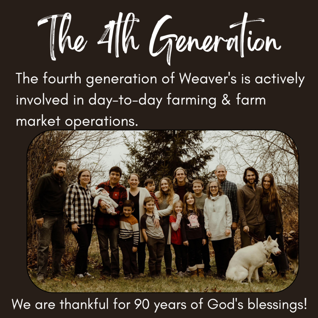 Weaver family history - 4th generation