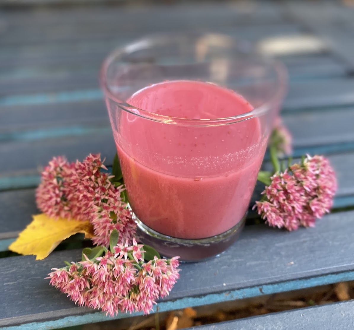 Homemade Wellness Shots Weavers Orchard