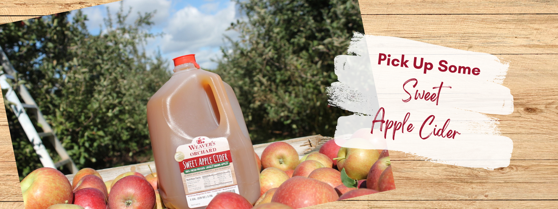Where to pick your own peaches this summer in Lancaster County, Food