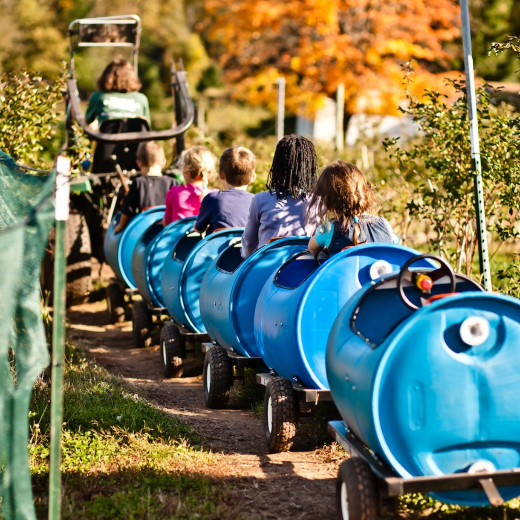 children riding in a cart train being pulled by a tractor